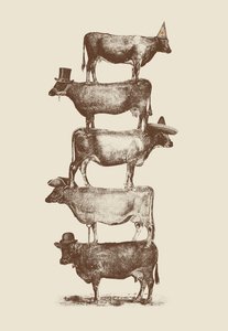 Cow Cow Nuts od Florent Bodart
