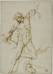 Marsyas přivázaný ke stromu od Follower of Baccio Bandinelli