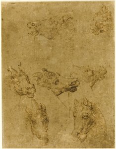Hlavy koní a jednorožců od Follower of Leonardo da Vinci