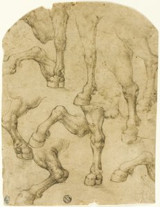 Náčrtky koňských nohou (recto); sloupy (verso) od Follower of Leonardo da Vinci
