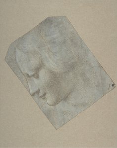 Hlava ženy v profilu směřující doleva, 1490-1500. od Follower of Leonardo da Vinci.