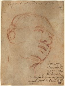Hlava muže od Follower of Michelangelo