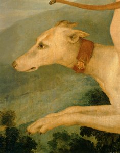 Diane chasseresse - Diana hunting ... od Fontainebleau School