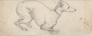 Studie chrta, polovina 19. století od Ford Madox Brown
