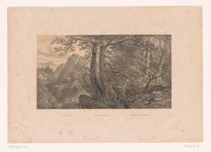 Dva lovci v lese v Pyrenejích Lov v Pyrenejích / Lov v Pyrenejích / Cazadores de los Pirinéos (España) (název na předmětu) Postavy v krajině (název série) od Fortuné Ferogio