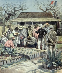Francouzi dávají domorodcům na Madagaskaru lekce zemědělství v roce 1897 (rytina) od Fortune Louis Meaulle