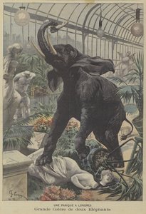 Dva rozzuření sloni řádí v Londýně od Fortune Louis Meaulle