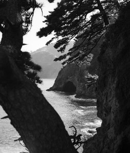 Japonské pobřeží Tichého oceánu u Atami od Fosco Maraini