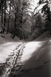 Ticho a tajemství od Fosco Maraini