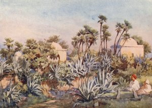 Koubba ze Sidi Noumann, Bouzareah (barevná litografie)