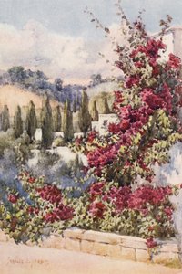 Na mém balkoně, Alžír (barevná litografie) od Frances Nesbitt