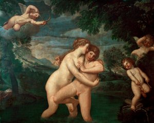 Salmacis ve vaně odražený Hermafroditem Nymfa Salmacis, syn Herma a Afrodity, vidí jeho pokroky odraženy - Obraz Francesca Albaniho dit l