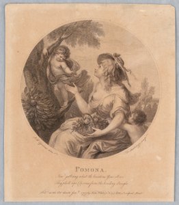 Pomona od Francesco Bartolozzi