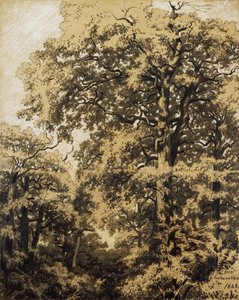 Les Fontainebleau od Francesco Gamba