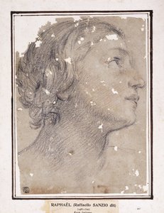 Hlava ženy, v profilu vpravo, od Francesco Giovanni Gessi