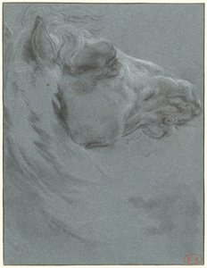 Hlava koně od Francesco Giuseppe Casanova