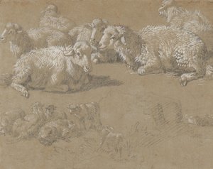 Ležící ovce v krajině, 1759-82. od Francesco Londonio