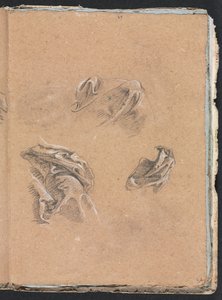 Verona Sketchbook: Studie soukenictví (strana 69) od Francesco Lorenzi