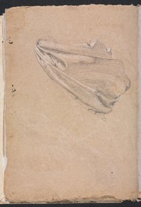 Verona Sketchbook: Drapery study strana 6, 1760. od Francesco Lorenzi