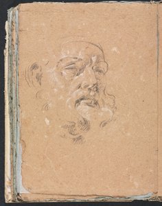Verona Sketchbook: Mužská hlava (strana 76) od Francesco Lorenzi