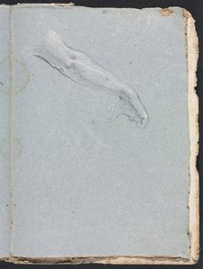Verona Sketchbook: Pravá paže a ruka strana 95, 1760. od Francesco Lorenzi