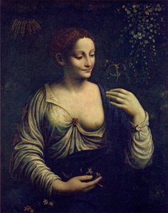Flóra