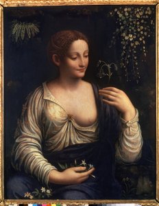 ""Flore"" (Flora) Obraz Francesca Melziho (1493-cca 1570) 1510-1515 Rozm. 76x63 cm Muzeum Ermitáž v Petrohradě od Francesco Melzi or Melzo