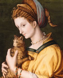 Dáma s kočkou, kolem 1525-30