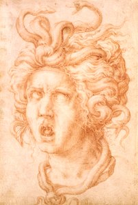 Medusa (červená křída na špinavě bílý papír) od Francesco de Rossi Salviati Cecchino