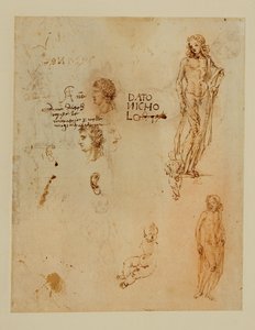 Tři profily;uši;dva Apollové... od Francesco di Simone (attr. to)