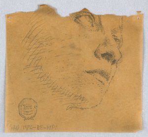 Částečný náčrt obličeje od Francis Augustus Lathrop