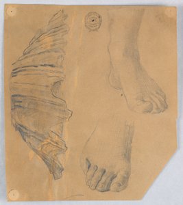 Studie nohou a rýhované lastury od Francis Augustus Lathrop