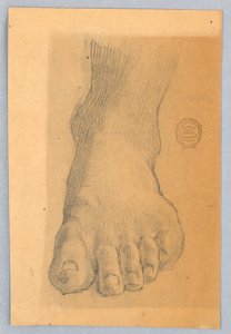 Studium levé nohy od Francis Augustus Lathrop