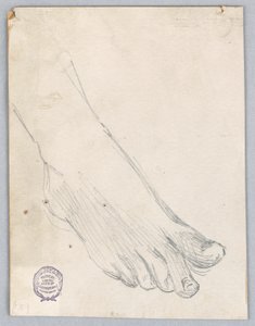 Studium pravé nohy od Francis Augustus Lathrop