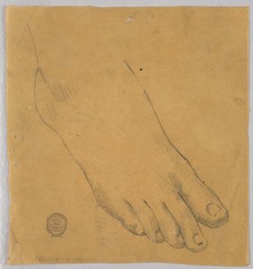 Studium pravé nohy od Francis Augustus Lathrop