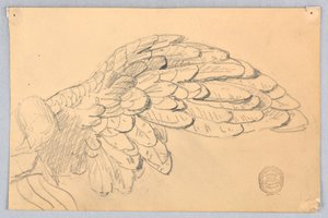 Studie křídla od Francis Augustus Lathrop