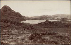 Arthog, jezero Creigene od Francis Bedford