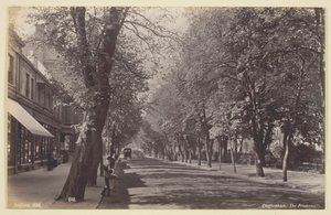 Cheltenham, Promenade, 186094. od Francis Bedford