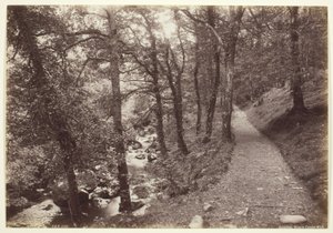 Dolgelley, Pohled v Torrent Walk od Francis Bedford