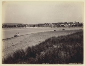 Exmouth z Warrenů od Francis Bedford