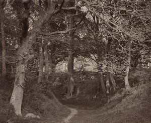 Glen Kenilworth,c. 1868 (foto) od Francis Bedford