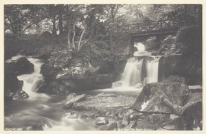 Glen Lyn, Rustikální most