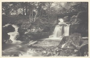 Glen Lyn, Rustikální most, 186094.
