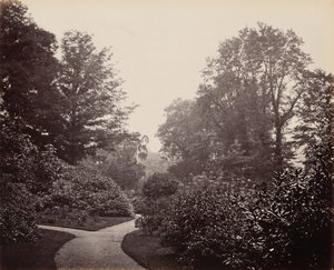 Stezka v Alexandra Parku,c. 1863 (foto)