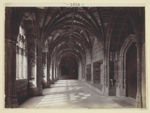 Nepojmenovaná od Francis Bedford