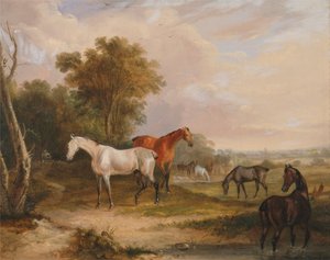 Pasoucí se koně: šedý hřebec pasoucí se s klisnami na louce od Francis Calcraft Turner