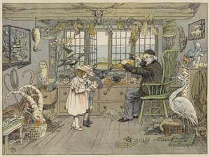 Bird-Stuffer (barevná litografie) od Francis Donkin Bedford