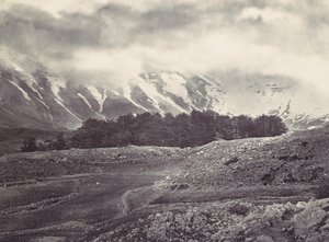 Pohled do dálky na cedry z Libanonu, ca. 1857. od Francis Frith