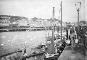 Newlynský přístav a přístaviště ryb, Cornwall od Francis Frith
