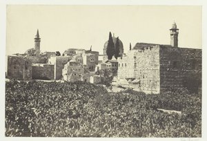 Tyrolské údolí, 1857. od Francis Frith